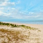 Strand_Krautsand2